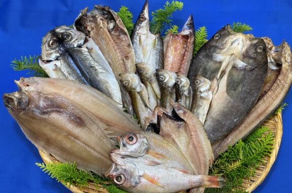 日本海鮮魚一夜干し6種セット